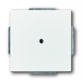 Busch-Jäger lažni središnji disk, s potpornim prstenom studio bijela 1710-0-3161