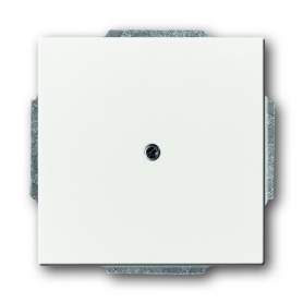Busch-Jäger centrálny disk, s podporou ring štúdio biela 1710-0-3163