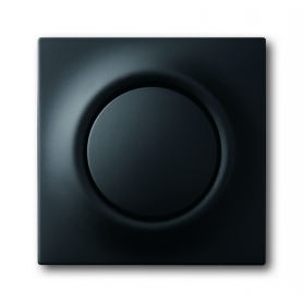 Busch-Jäger central disc, with button and glimm lamp black matt 1753-0-0153