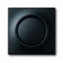 Busch-Jäger central disc, with button and glimm lamp black matt 1753-0-0153