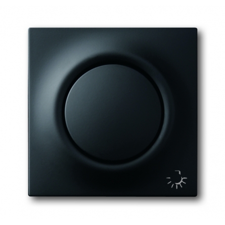 Busch-Jäger central disc, with button and glimm lamp black matt 1753-0-0156