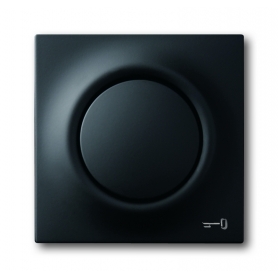 Busch-Jäger central disc, with button and glimm lamp black matt 1753-0-0157