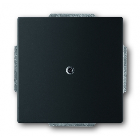 Busch-Jäger slepý centrálny disk, s podporou prsteň čierne matt 1710-0-3895