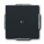 Busch-Jäger centrálny disk, s prsteň čierne matt 1710-0-3900