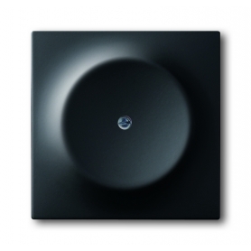 Disco central ciego Busch-Jäger, con anillo de soporte negro mate 1753-0-0138
