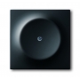 Busch-Jäger slepý centrálny disk, s podporou prsteň čierne matt 1753-0-0138