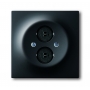 Busch-Jäger centrálny disk, s prsteň čierne matt 1753-0-0145