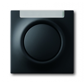 Busch-Jäger central disc, with button and glimm lamp black matt 1753-0-0151