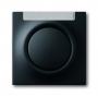 Busch-Jäger central disc, with button and glimm lamp black matt 1753-0-0151