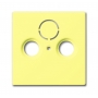 Busch-Jäger Zentralscheibe, als Abdeckung für handelsübliche Antennensteckdosen gelb 1724-0-4288