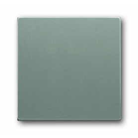 Bascule Busch-Jäger, avec surface fermée, gris métallisé 1751-0-3012