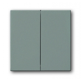 Busch-Jäger Wippe, mit geschlossener Oberfläche graumetallic 1751-0-3018