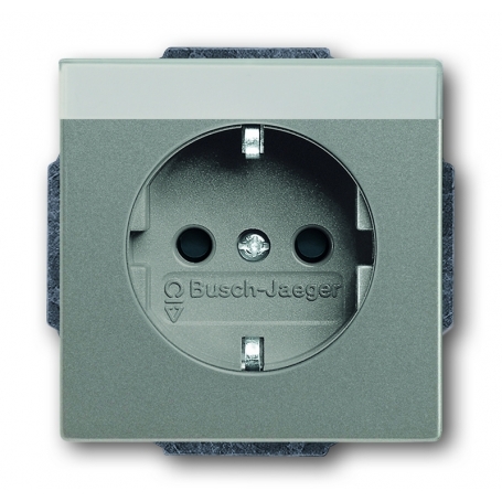 Busch-Jäger SCHUKO® socket insert, with label field greymetallic 2011-0-3876