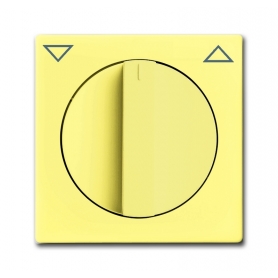 Busch-Jäger središnji disk, s rotirajućom ručkom, sa žutim otiskom 1710-0-3820