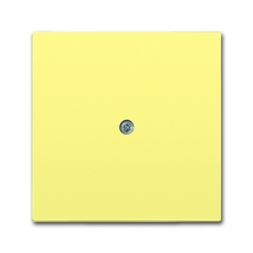 Busch-Jäger Zentralscheibe gelb 1710-0-3835