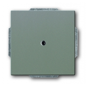 Busch-Jäger centrálny disk, s podporou prsteň simetallic 1710-0-3844