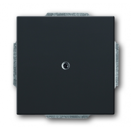 Busch-Jäger slepý centrálny disk, s podporou prsteň antracit 1710-0-3612