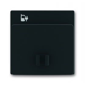Busch-Jäger central disc black matt 6400-0-0028