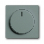 Disco central Busch-Jäger, con botón giratorio, f. madre y lámpara de glimm grismetallic 6599-0-2980