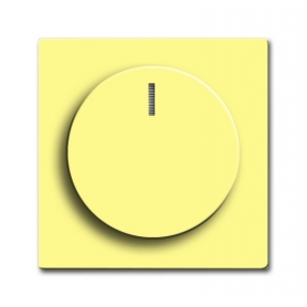 Busch-Jäger centrálny disk, s rotačným gombíkom, f. matka a glimm lampa žltý 6599-0-2981