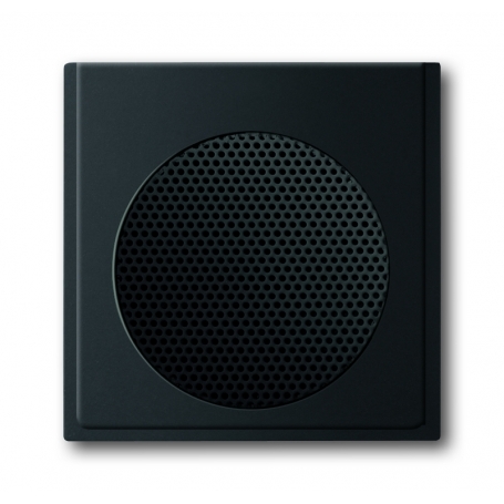 Busch-Jäger központi lemez fekete matt 8200-0-0128