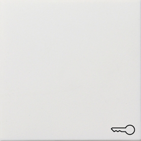 Gira 0287112 rocker symbol door surface switch white