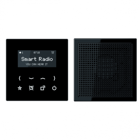 Jung RAD LS 918 SW Radio, Display, Set Mono, 1 Lautsprecher